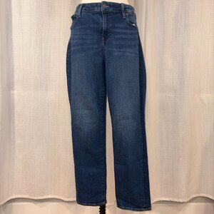 GAP Denim Classic Straight - 14/32 R